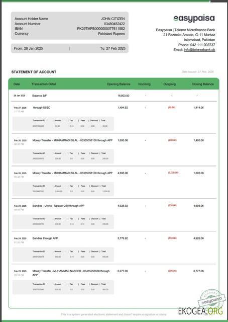 Pakistan Easypaisa relevé de compte Modèle Word et PDF
